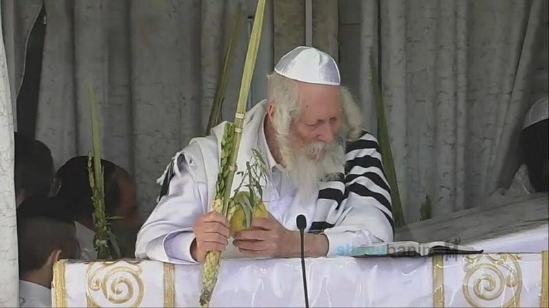 כִּי יִצְפְּנֵנִי בְּסֻכּוֹ • סיקור חג סוכות בצילו של הגה"צ רבי אליעזר ברלנד