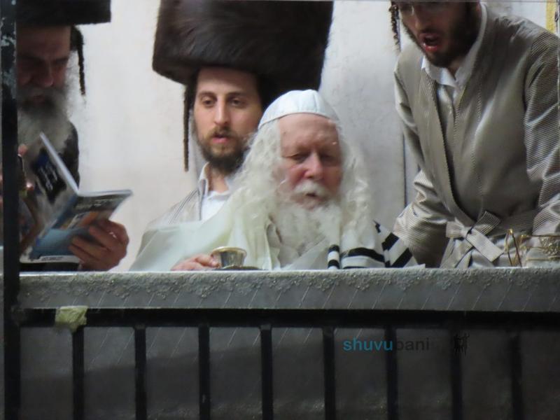 קְדֹשִׁים תִּהְיוּ כִּי קָדוֹשׁ אֲנִי ה' • שבת פרשת קדושים בצילו של הגה"צ רבי