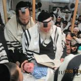 ברית קודש אצל הגה"צ הרב אליעזר ברלנד שליט"א - גלריית תמונות