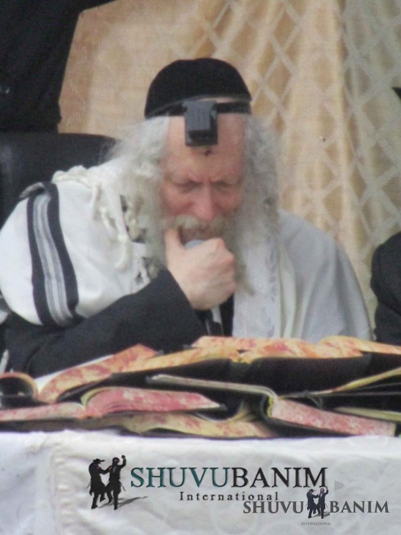 תְּפִילָה לְלִמּוּד התּוֹרָה מאת הגה"צ הרב אליעזר ברלנד שליט"א