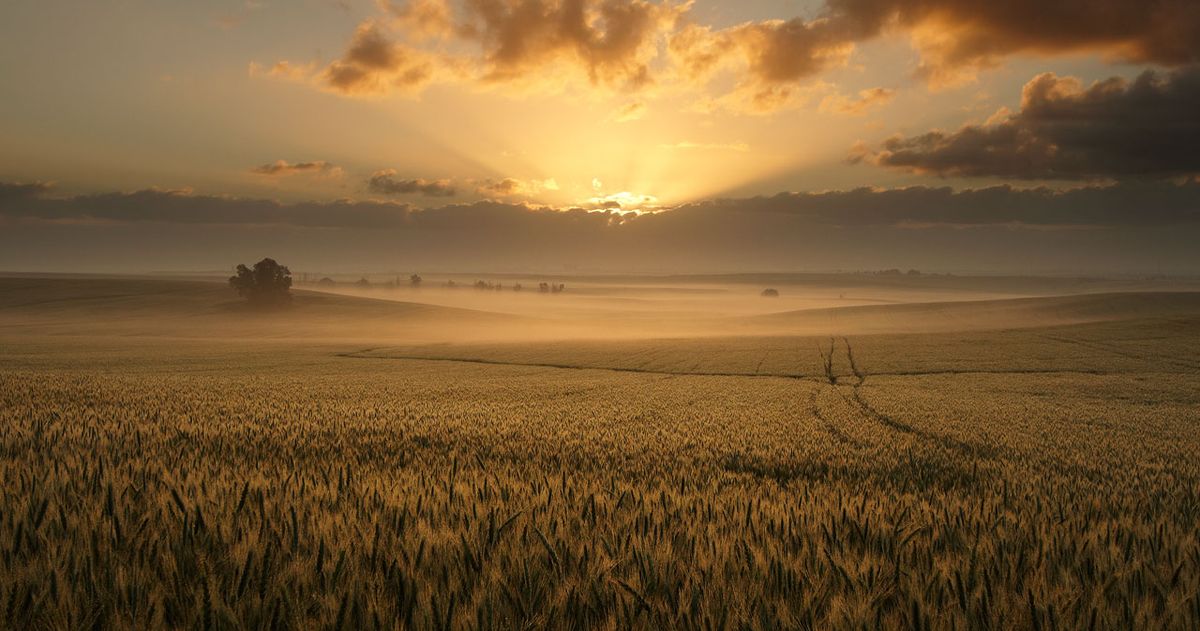 לשמוע את הקולות - דברי הגה"צ הרב אליעזר ברלנד שליט"א לשבועות