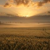 לשמוע את הקולות - דברי הגה"צ הרב אליעזר ברלנד שליט"א לשבועות