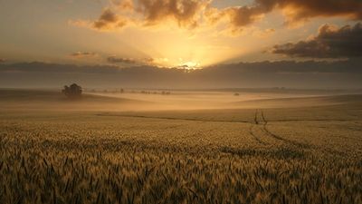 לשמוע את הקולות - דברי הגה"צ הרב אליעזר ברלנד שליט"א לשבועות
