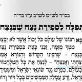 נצח שבנצח – תפילה לספירת העומר של היום מהגה"צ הרב אליעזר ברלנד שליט"א