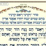 סוד "וקרני ראם קרניו בהם עמים ינגח..." • המאמר היומי מהגה"צ רבי אליעזר ברלנד שליט"א