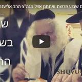 הקליפ המרגש: חזרת הגה"צ הרב אליעזר ברלנד שליט"א לירושלים