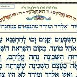 סוד 'אלדד ומידד מתנבאים במחנה' • המאמר היומי מהגה"צ רבי אליעזר ברלנד שליט"א