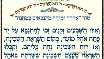 סוד 'אלדד ומידד מתנבאים במחנה' • המאמר היומי מהגה"צ רבי אליעזר ברלנד שליט"א