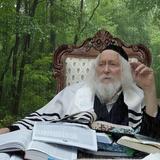 לִכְבוֹד הַתְּפִלָּה ה' יַפְסִיק אֶת הַגֶּשֶׁם לְ- 3 שָׁעוֹת, חזה הרב אליעזר ברלנד שליט"א