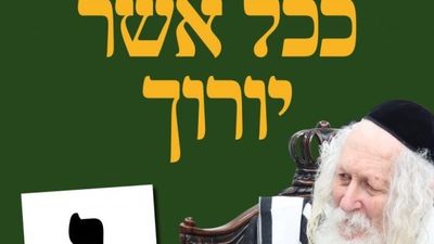 “These Aren’t Elections, This is the War of Amalek!" – Daily Shiur with Rabbi Eliezer Berland Shlit”a