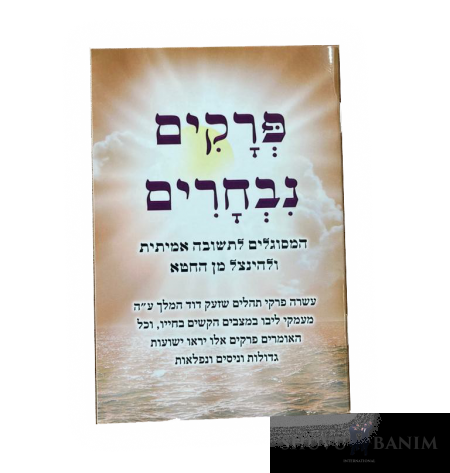 Revelations from the Hidden Tzaddikim: Mashiach Needs our Prayers to Win his Wars