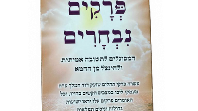 Revelations from the Hidden Tzaddikim: Mashiach Needs our Prayers to Win his Wars