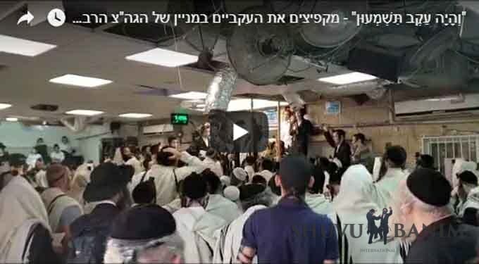 אנ"ש מקפיצים את העקביים עם כ"ק הגה"צ הרב אליעזר ברלנד שליט"א בתפילת שחרית - חיות נוראה - "כָּל הָעִנְיָן שֶׁל האָדָם זֶה הַשִּׁירִים, הָרִקּוּדִים וְהַנִּגּוּנִים"