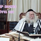 "פתאום יהיה אור גדול" - החיזוק היומי מהגה"צ הרב אליעזר ברלנד שליט"א