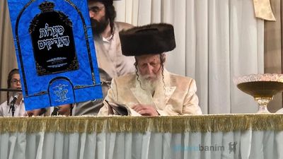 צְרִיכִים לָדַעַת שֶׁרַבֵּינוּ חַי וְקַיָּם!! • שיעורו של הגה"צ רבי אליעזר ברלנד שליט"א בהילולת רבינו הקדוש מתוך הספר החדש 'מעלות הצדיקים'