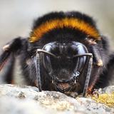 לא לבעלי לב חלש - הפעם בלי צנזורה. האזינו להגה"צ הרב אליעזר ברלנד שליט"א מסביר את הסיבה האמתית לרדיפה אחריו.