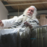 בַּסֻּכֹּת תֵּשְׁבוּ שִׁבְעַת יָמִים • סיקור שבת חול המועד סוכות בצילו של הגה"צ רבי אליעזר ברלנד שליט"א