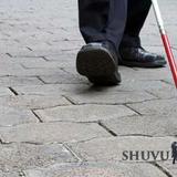 סיפור מופלא: עיוור לחלוטין ראה את הרב אליעזר ברלנד שליט"א למשך יותר מעשרים דקות במהלך הכנס בחדרה