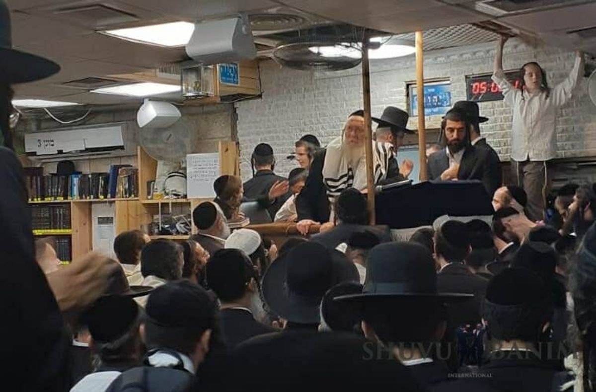 סיקור שבת ואחתנן במחיצת הגה"צ הרב אליעזר ברלנד שליט"א