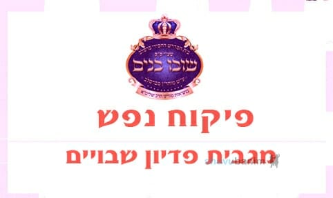 פדיון שבויים למורינו הרב אליעזר ברלנד שליט"א - בבקשה לעזור, הרדיפות נוראיות והרב חייב ייצוג משפטי הולם