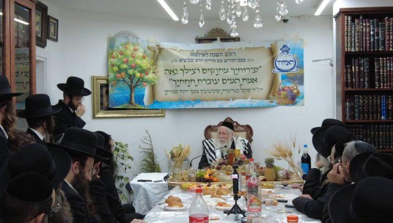 "זֶה פִּדְיוֹן בְּנִי בְכוֹרִי" • פדיון הבן לנין הגה"צ רבי אליעזר ברלנד שליט"א