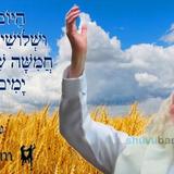 הַיּוֹם שִׁבְעָה וּשְׁלוֹשִׁים יוֹם לָעוֹמֶר • נוסח ספירת העומר ותפילה מהגה"צ רבי אליעזר ברלנד שליט"א לגבורה שביסוד