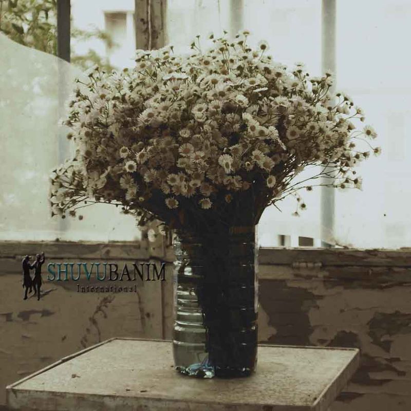 תפילה לזכות לשלום בית ולרפואה שלימה ושלום בית 1 - מאת הגה