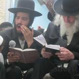 אמירת קינות - ט' באב תשע"ח - הגה"צ הרב אליעזר ברלנד שליט"א: צפו