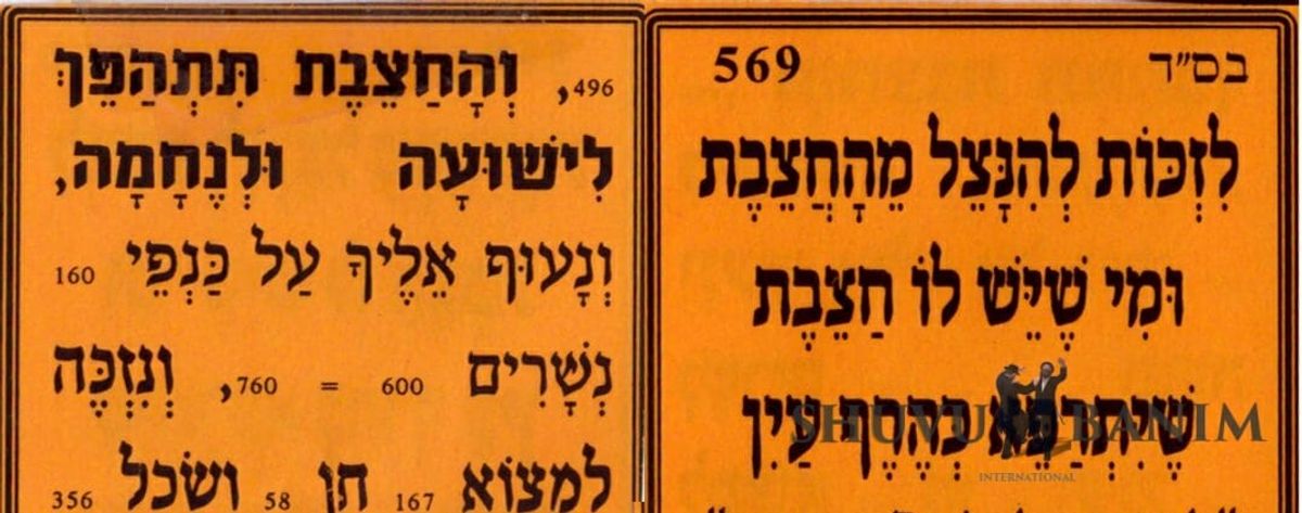תפילה חשובה מאת הגה"צ הרב אליעזר ברלנד שליט"א - לזכות להינצל מהחצבת ומי שיש לו חצבת שיתרפא כהרף עין