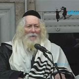 שידור חי: תפילת ערבית יום ג', ו' אדר א תשפ"ב - הגה"צ הרב אליעזר ברלנד שליט"א