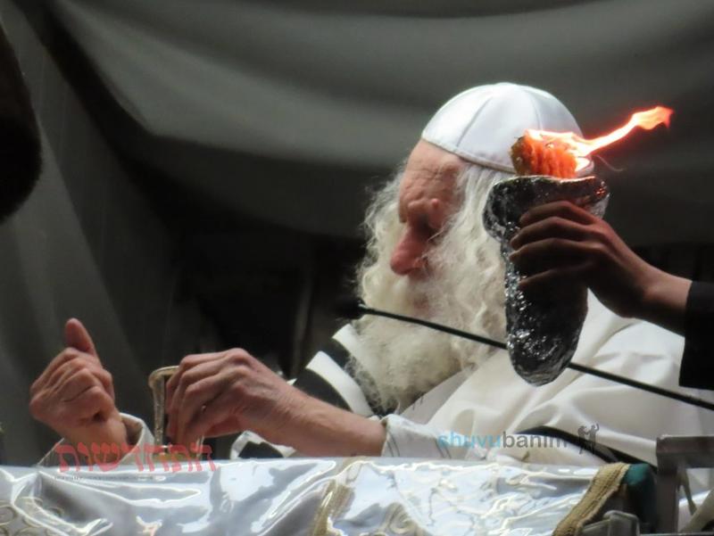 "הֵיטֵב אֵיטִיב עִמָּךְ" • סיקור שבת פרשת וישלח בצילו של הגה"צ רבי אליעזר ברלנד