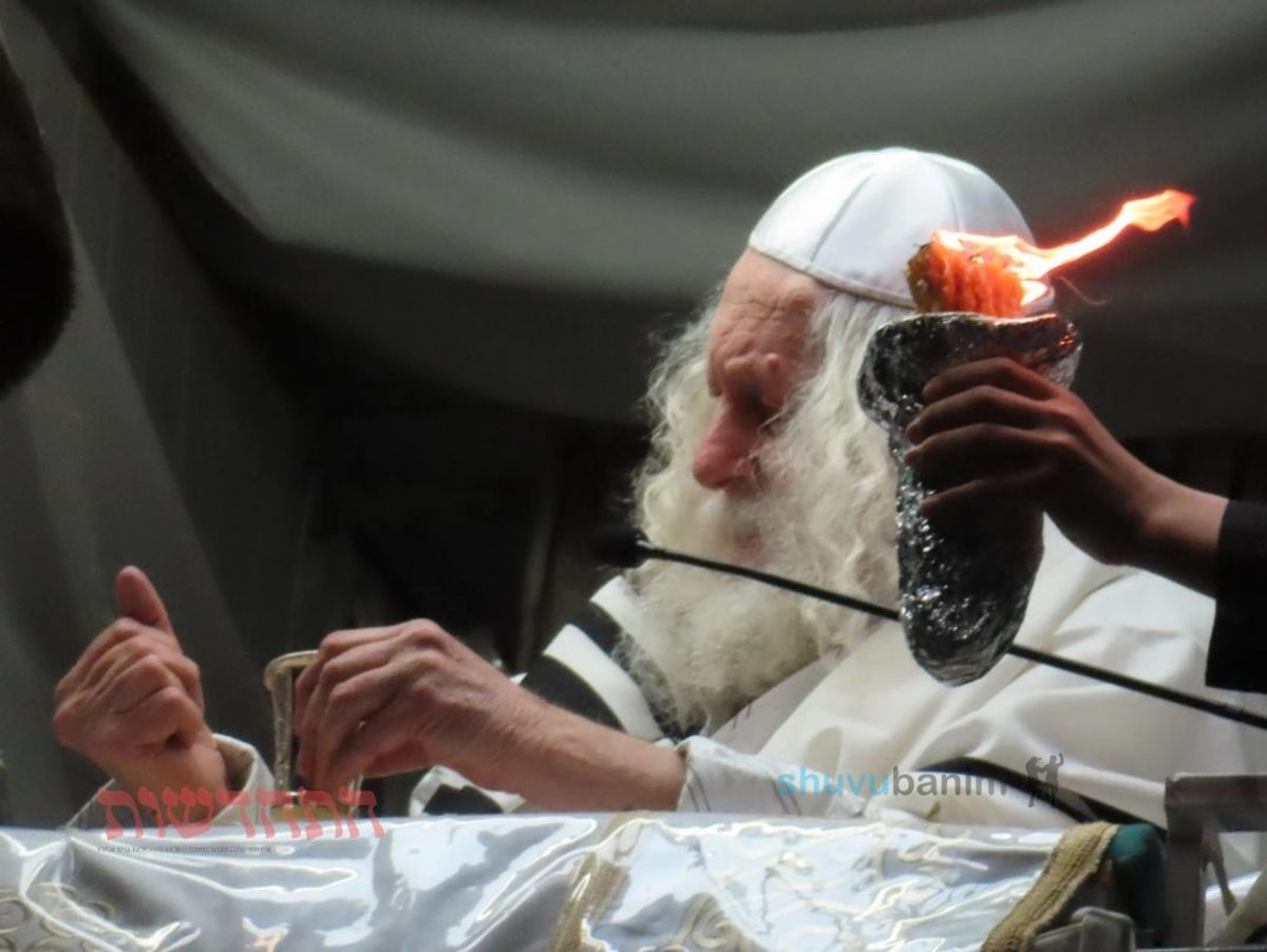 "הֵיטֵב אֵיטִיב עִמָּךְ" • סיקור שבת פרשת וישלח בצילו של הגה"צ רבי אליעזר ברלנד שליט"א