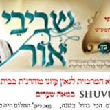 שיעורי הגה"צ הרב אליעזר ברלנד שליט"א מהשבוע החולף - שביבי אור 73