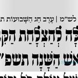 וְכָל אֶחָד יוֹסִיף תִּקּוּן אֶחָד כְּלָלִי לְיוֹם עַד עֶרֶב רֹאשׁ הַשָּׁנָה תשפ"ד • תפילה מהגה"צ רבי אליעזר ברלנד שליט"א להצלחת קיבוץ ראש השנה תשפ"ד באומן