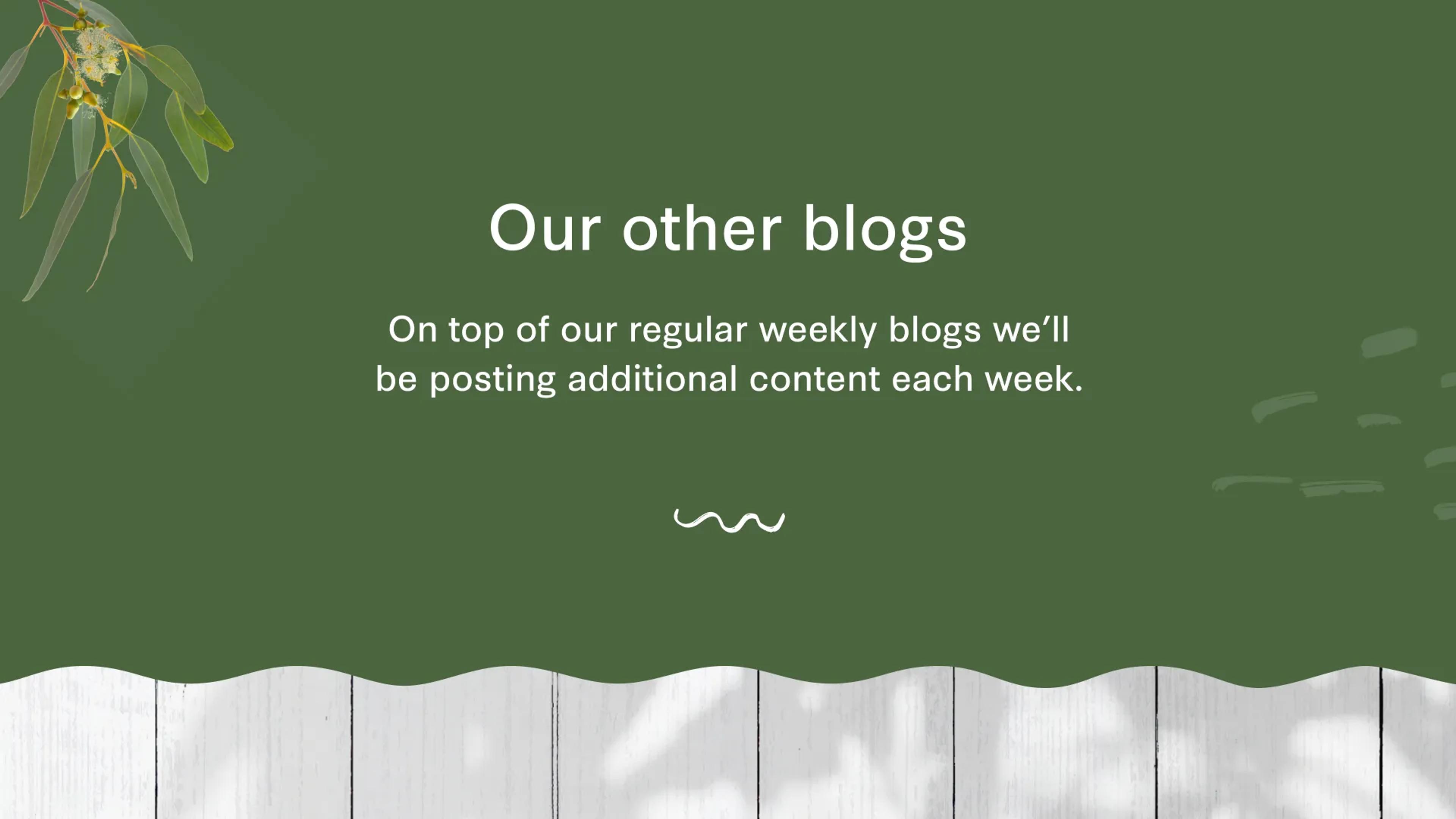 A mockup of the blogs section in the footer.