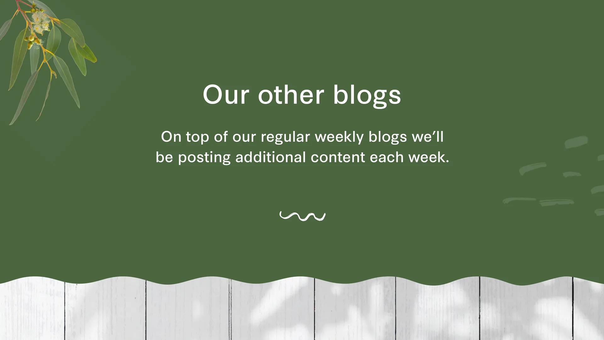 A mockup of the blogs section in the footer.