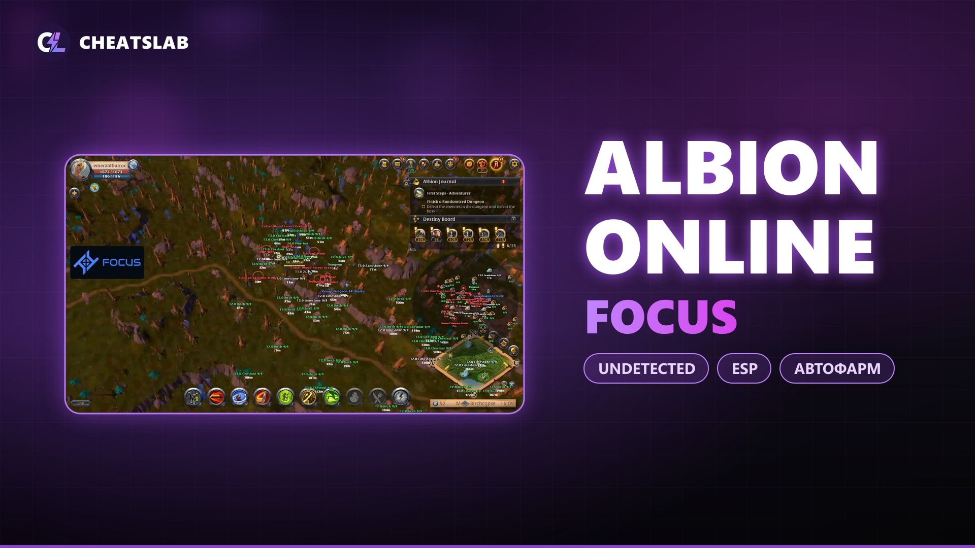 Чит для Albion Online FOCUS