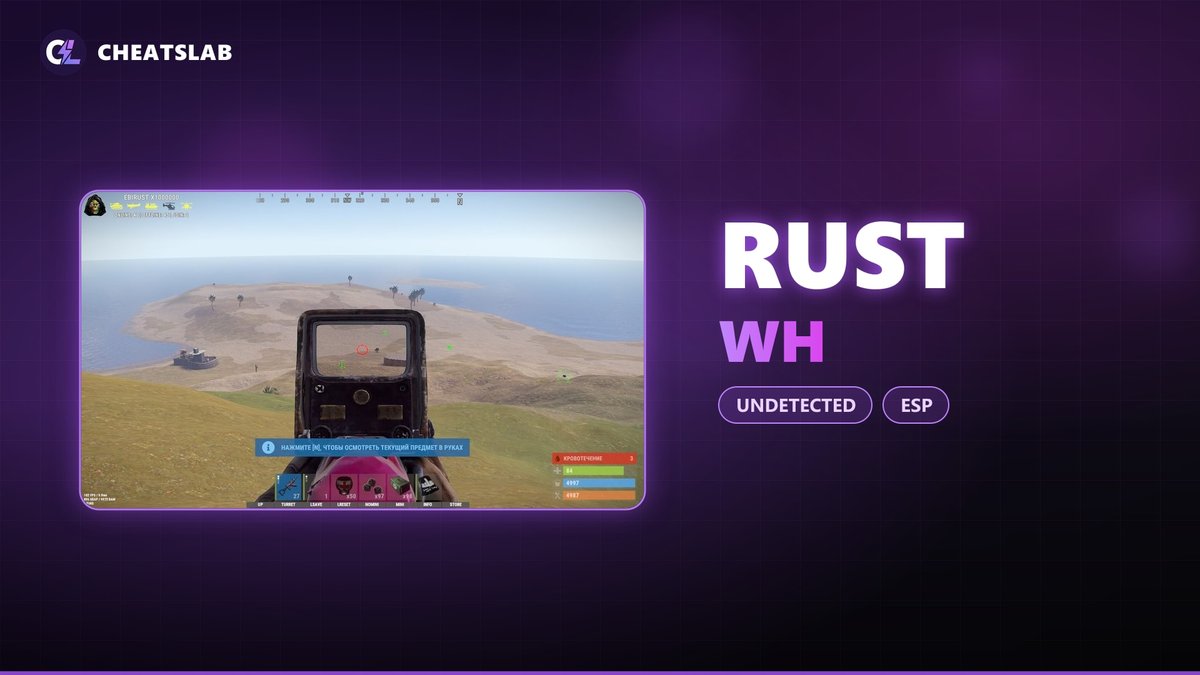 Чит для Rust WH