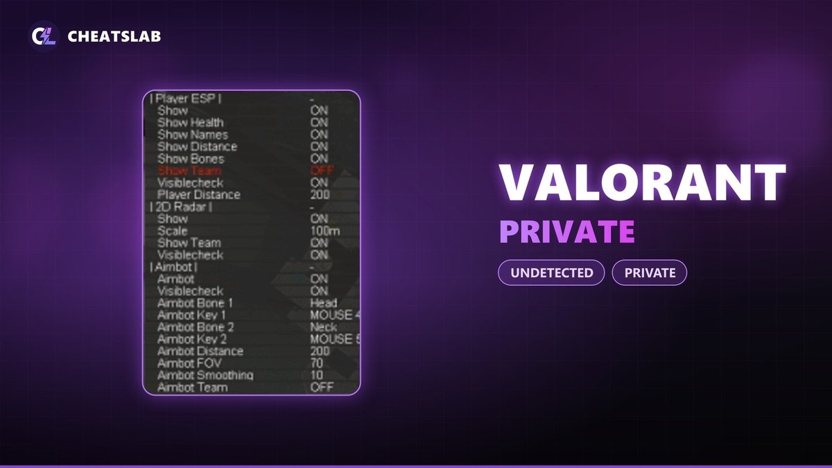 Чит для Valorant Private