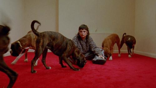 This wasn't meant for you anyway - Lola Young poster