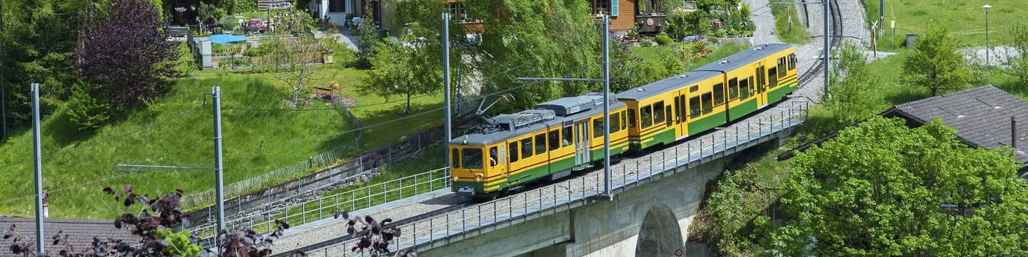 Wengernalpbahn