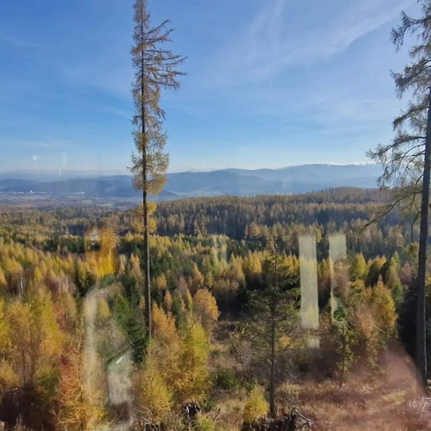 Tram Hoge Tatra