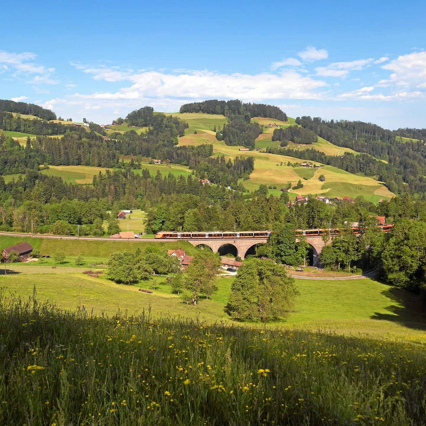 Voralpen-Express bij Mogelsberg