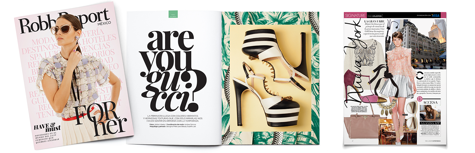 Robb Report covers and features