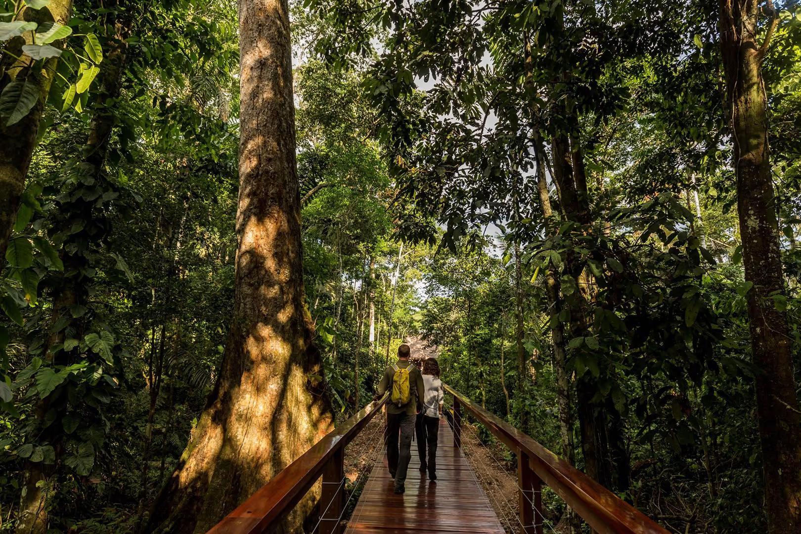 Manu Biosphere Advanced Tour 4D/3N