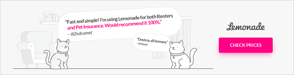 Lemonade — view offer