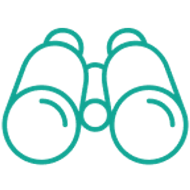 Vision icon