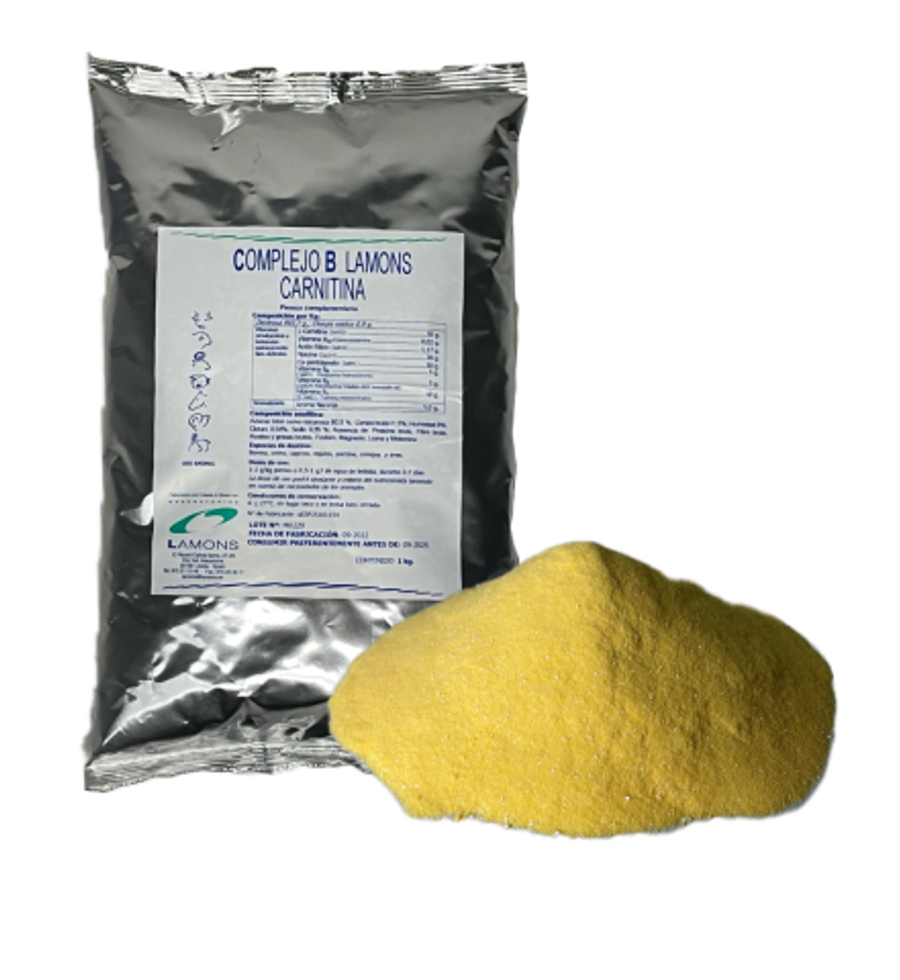 COMPLEJO B Lamons CARNITINA