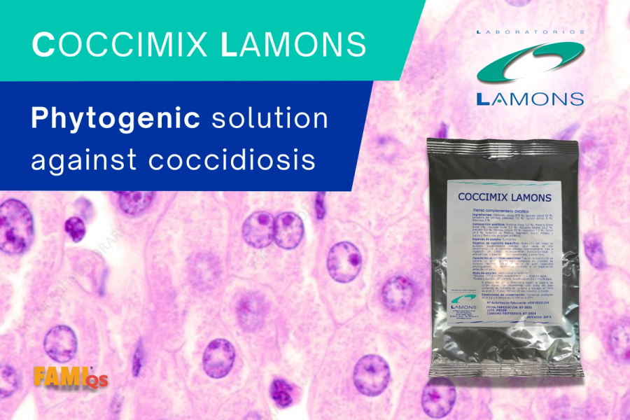 coccimix lamons