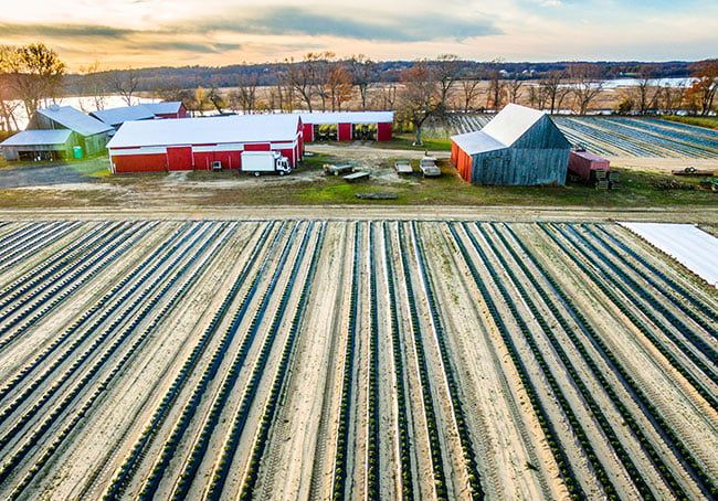 10 Ways To Celebrate Maryland Agriculture   B463c1e707374f0c08e31a278c842f057fd9b150 650x454 